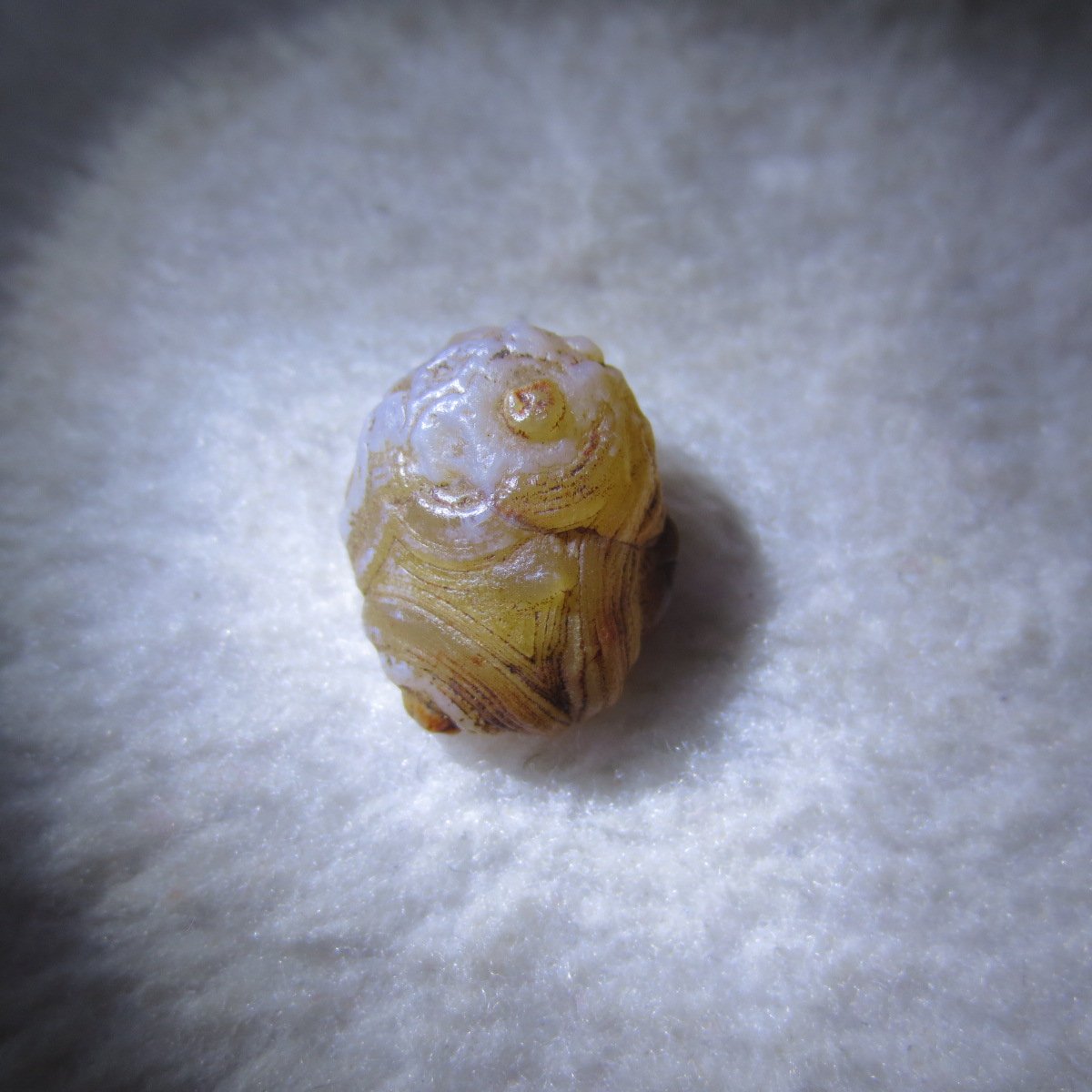 tiny gobi desert eye agate natural collectible rough stone specimen (m246)
