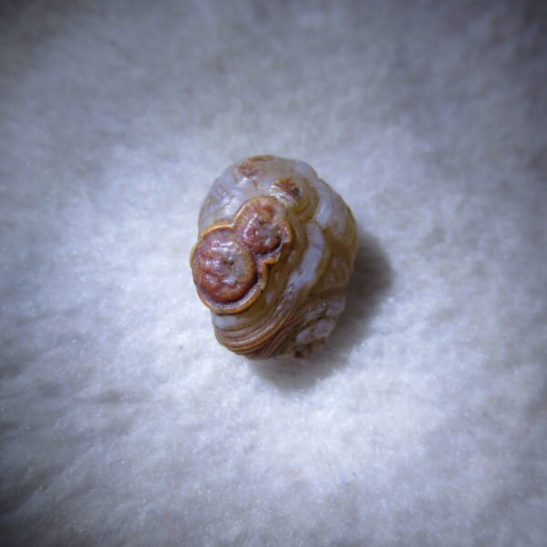 tiny gobi desert eye agate natural collectible rough stone specimen (m246)