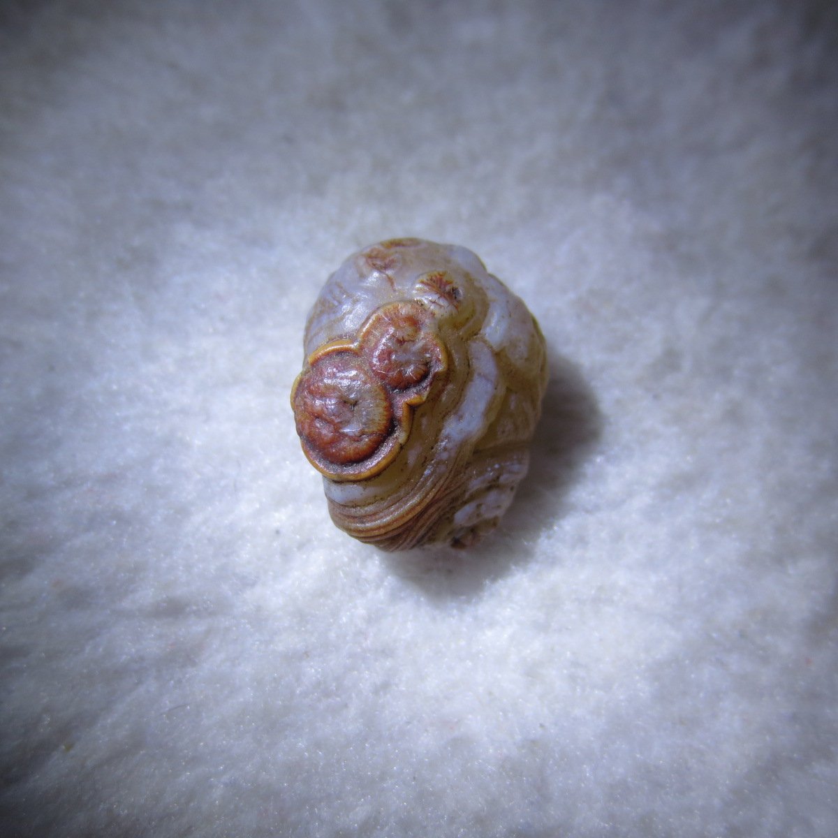 tiny gobi desert eye agate natural collectible rough stone specimen (m246)