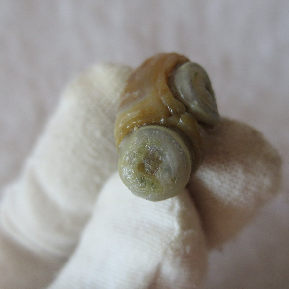 tiny gobi desert eye agate natural collectible rough stone specimen (m247)