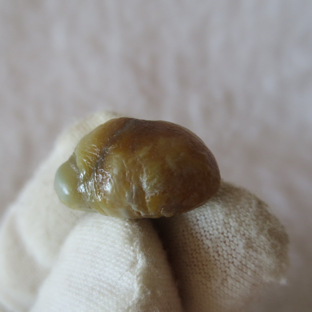 tiny gobi desert eye agate natural collectible rough stone specimen (m247)