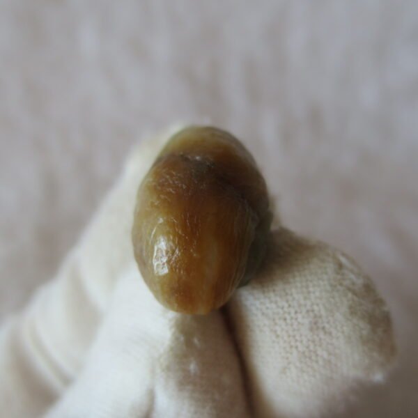 tiny gobi desert eye agate natural collectible rough stone specimen (m247)