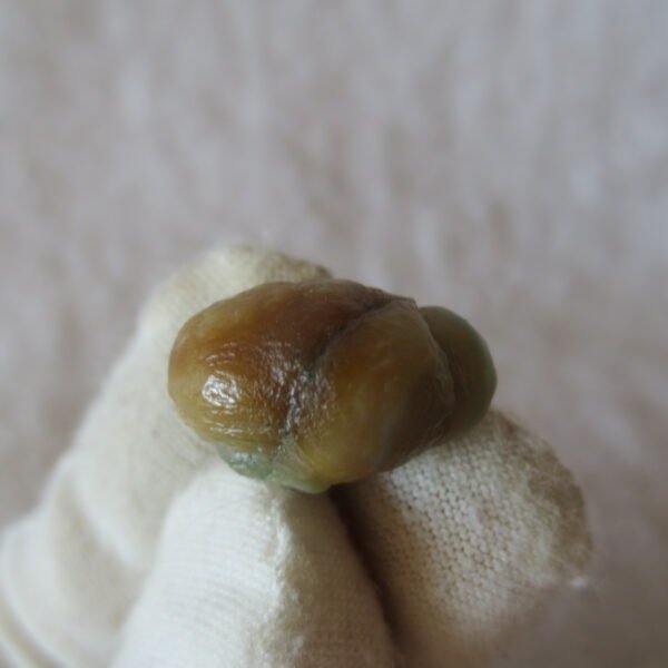 tiny gobi desert eye agate natural collectible rough stone specimen (m247)