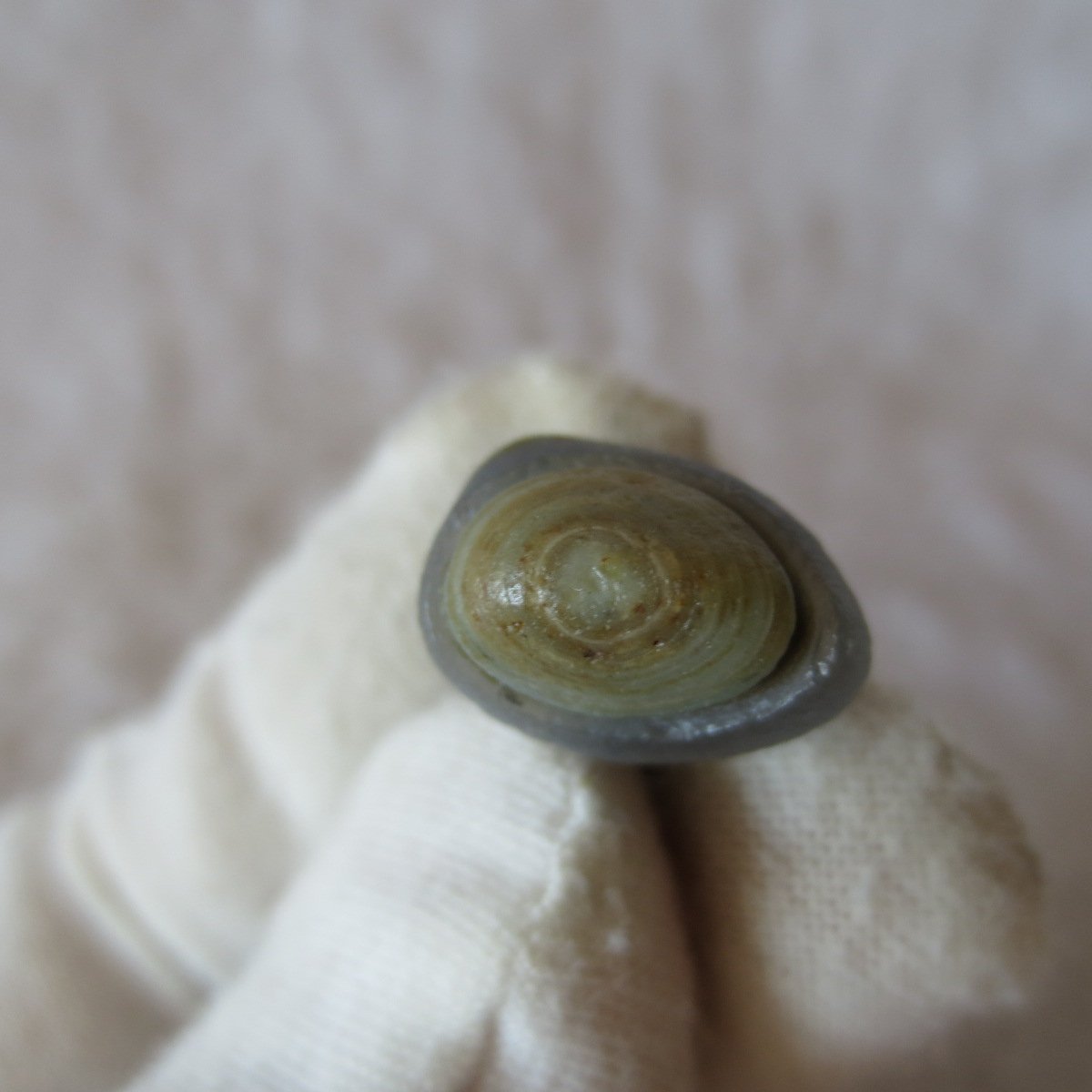 tiny gobi desert eye agate natural collectible rough stone specimen (m248)