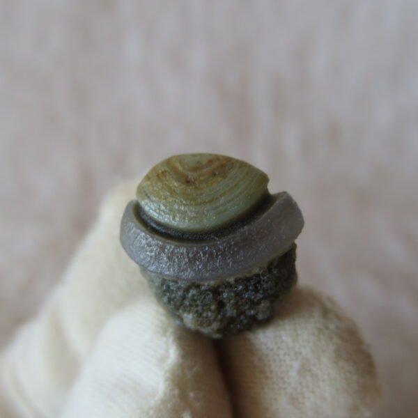 tiny gobi desert eye agate natural collectible rough stone specimen (m248)