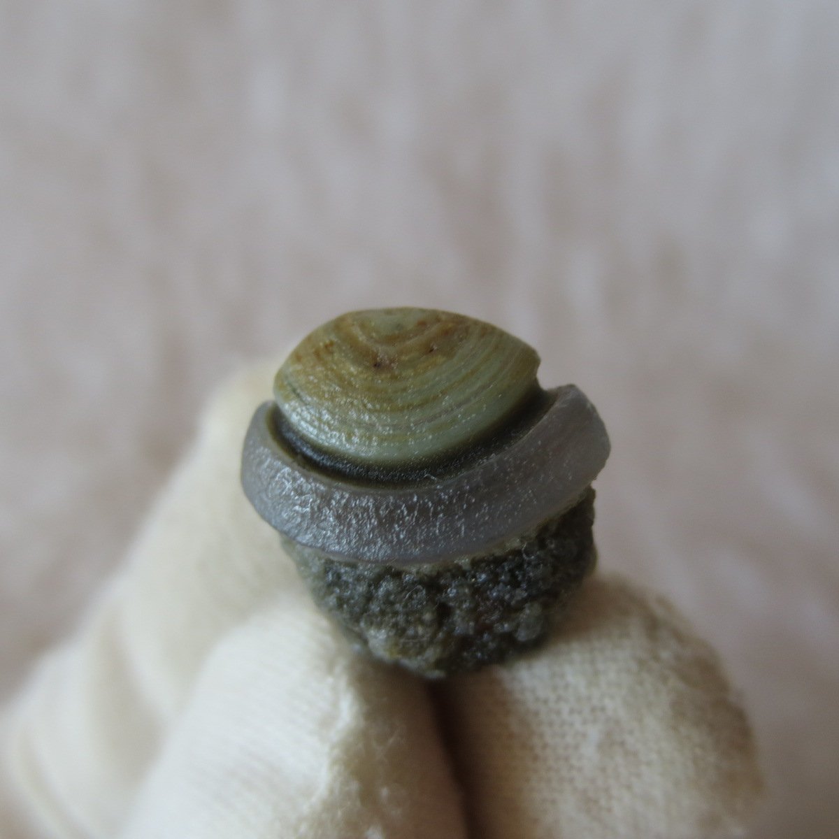 tiny gobi desert eye agate natural collectible rough stone specimen (m248)