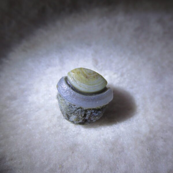 tiny gobi desert eye agate natural collectible rough stone specimen (m248)