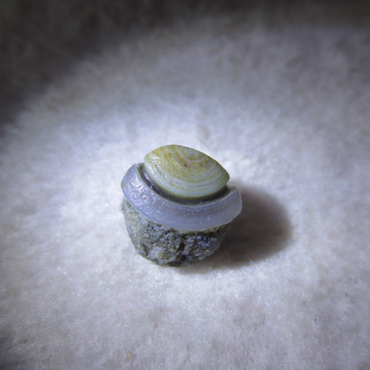 tiny gobi desert eye agate natural collectible rough stone specimen (m248)