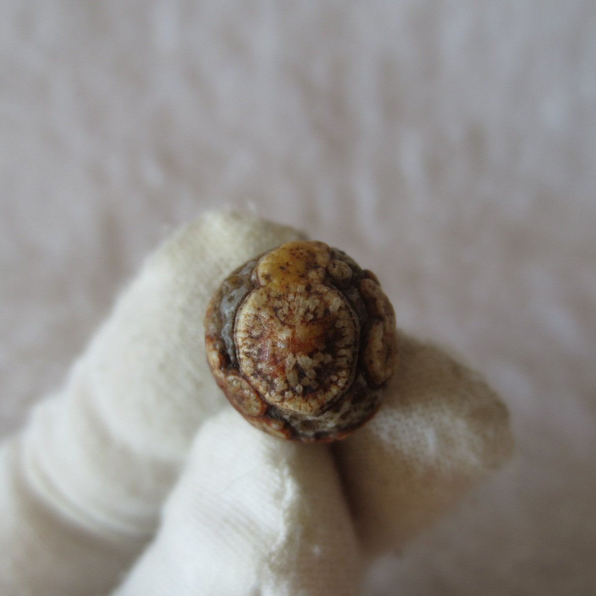 tiny gobi desert eye agate natural collectible rough stone specimen (m248) (copy)
