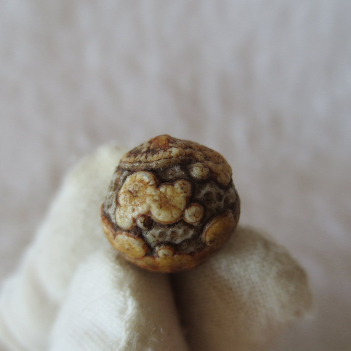 tiny gobi desert eye agate natural collectible rough stone specimen (m248) (copy)