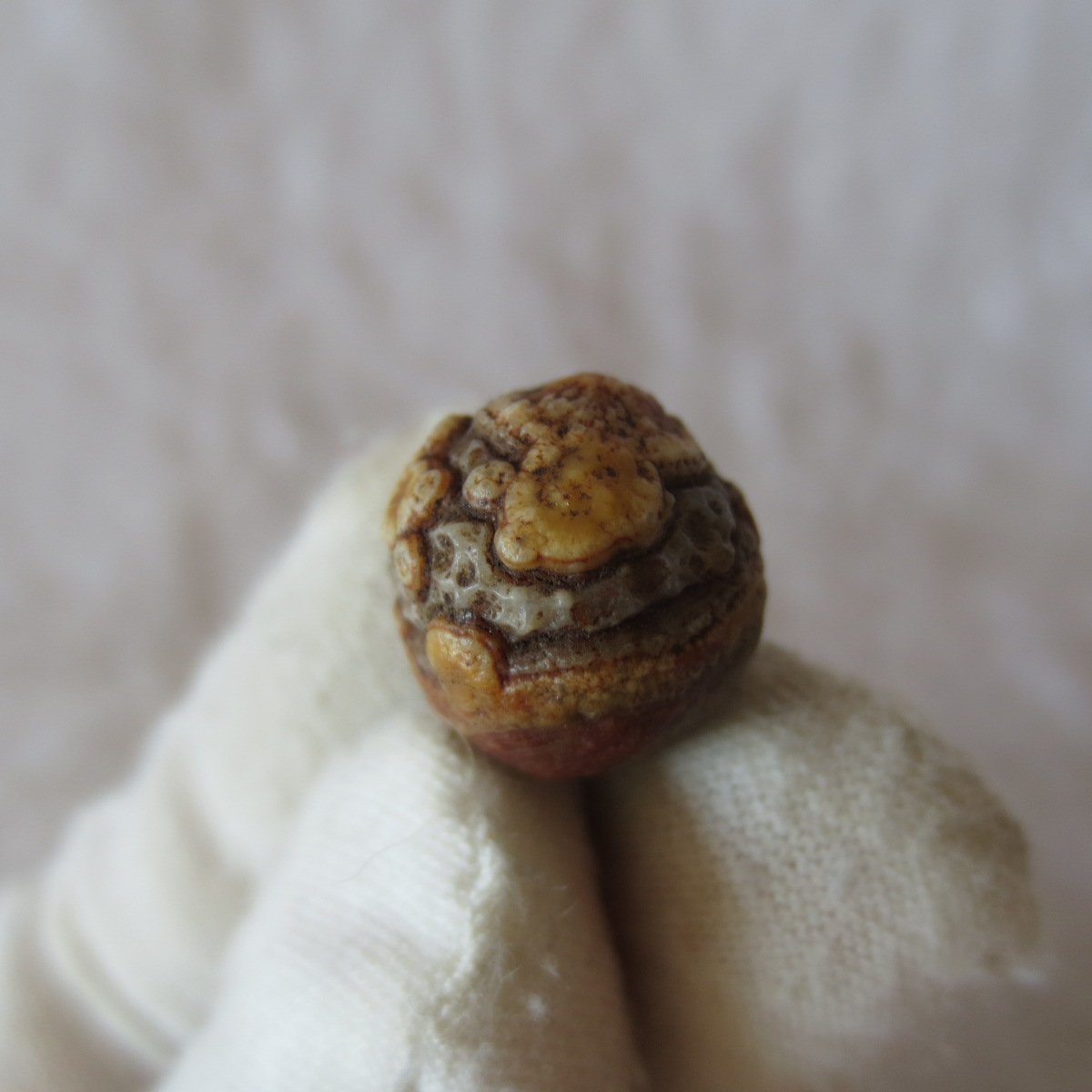 tiny gobi desert eye agate natural collectible rough stone specimen (m248) (copy)