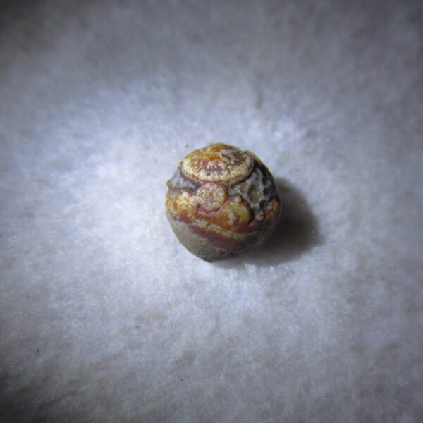 tiny gobi desert eye agate natural collectible rough stone specimen (m249)