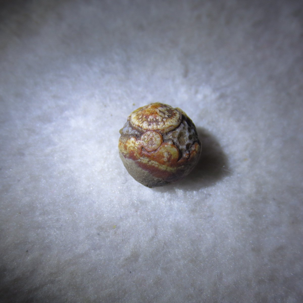 tiny gobi desert eye agate natural collectible rough stone specimen (m249)