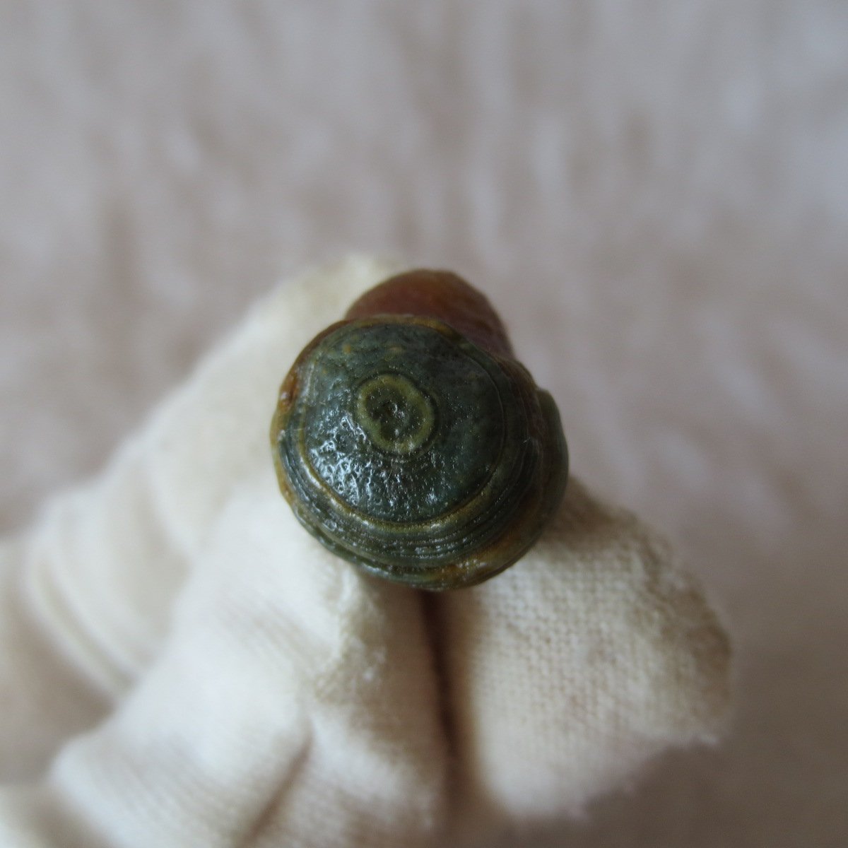 tiny gobi desert eye agate natural collectible rough stone specimen (m250) (copy)