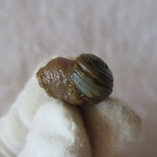 tiny gobi desert eye agate natural collectible rough stone specimen (m250) (copy)