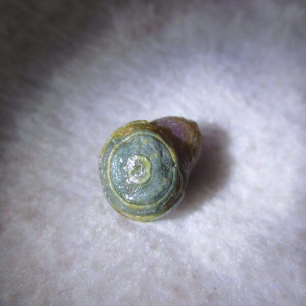 tiny gobi desert eye agate natural collectible rough stone specimen (m250) (copy)