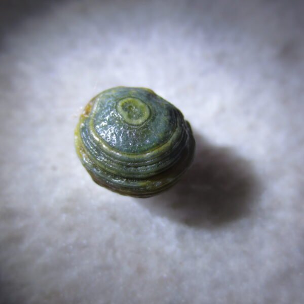 tiny gobi desert eye agate natural collectible rough stone specimen (m250) (copy)