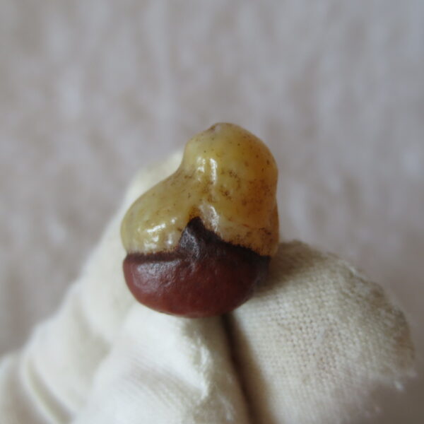 tiny gobi desert eye agate natural collectible rough stone specimen (m252) (copy)