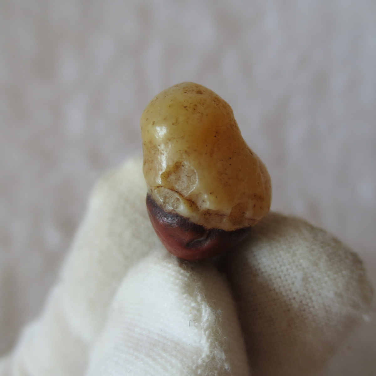 tiny gobi desert eye agate natural collectible rough stone specimen (m252) (copy)