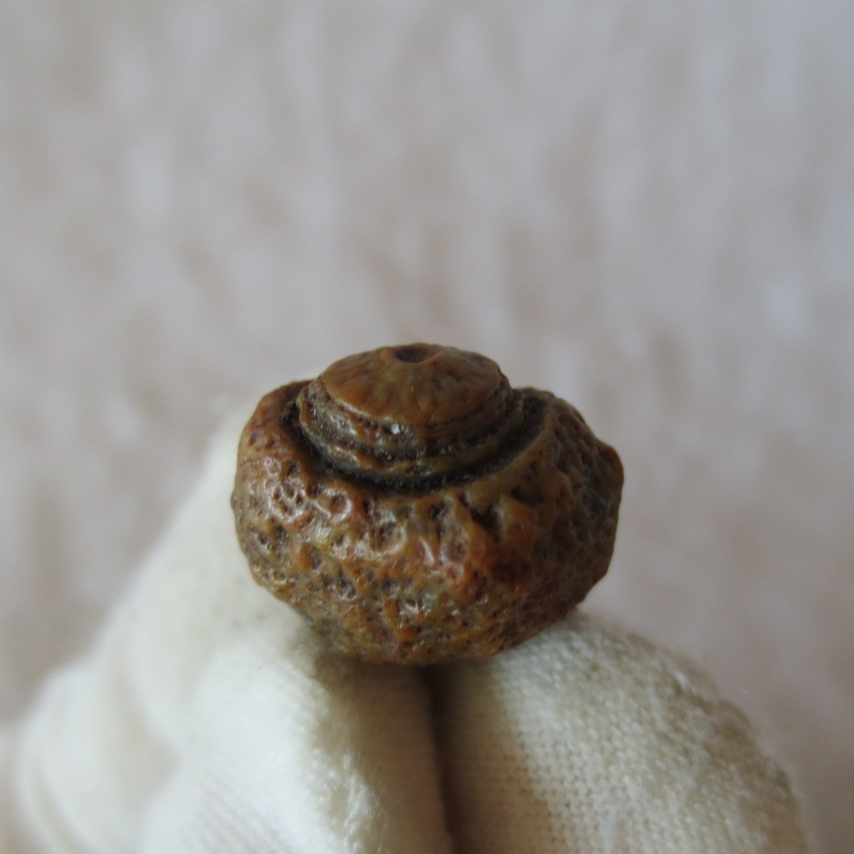 tiny gobi desert eye agate natural collectible rough stone specimen (m253) (copy)