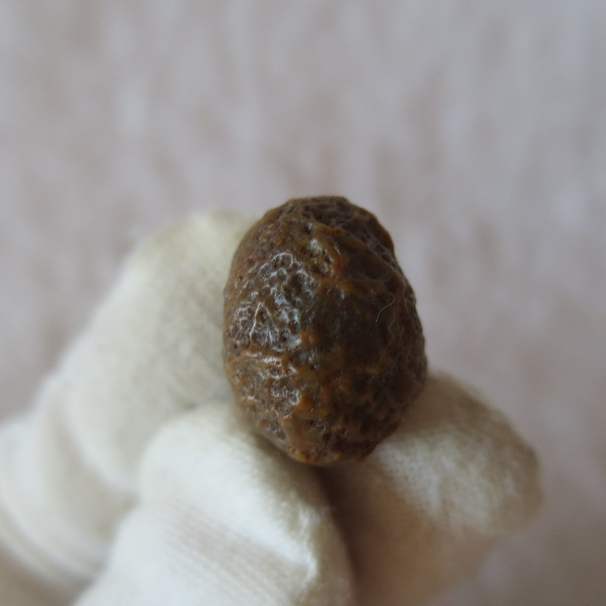 tiny gobi desert eye agate natural collectible rough stone specimen (m254)