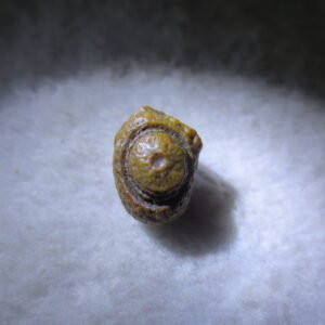 tiny gobi desert eye agate natural collectible rough stone specimen (m254)