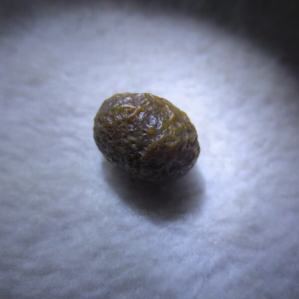 tiny gobi desert eye agate natural collectible rough stone specimen (m254)