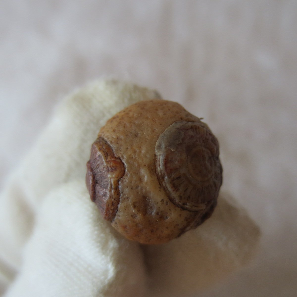 tiny gobi desert eye agate natural collectible rough stone specimen (m255)