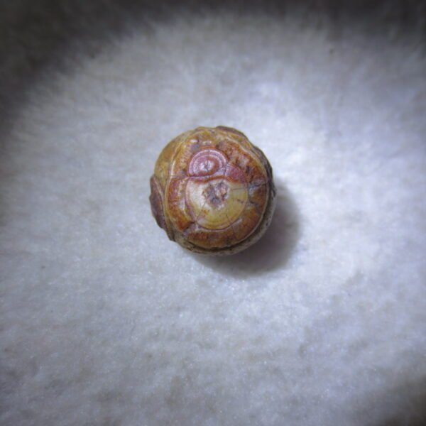 tiny gobi desert eye agate natural collectible rough stone specimen (m255)