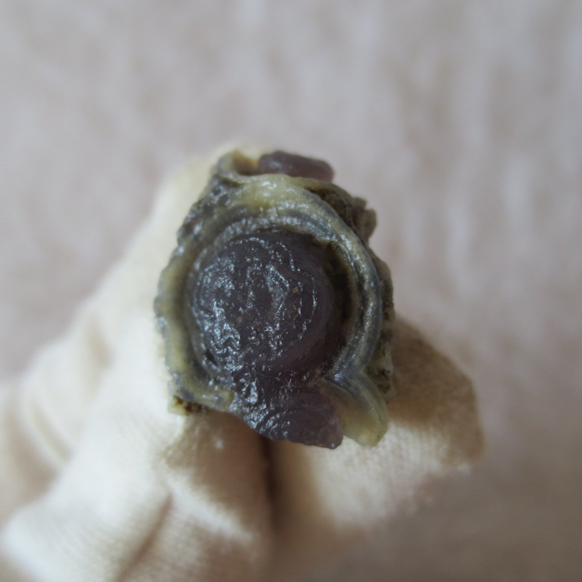 tiny gobi desert eye agate natural collectible rough stone specimen (m257)
