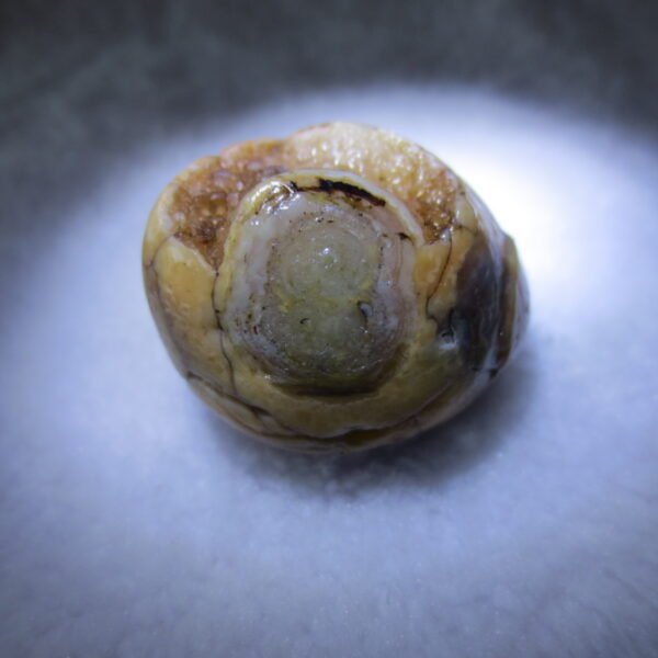 natural gobi eye stone，raw oracle eye agate，collectible crystal specimen (m91)