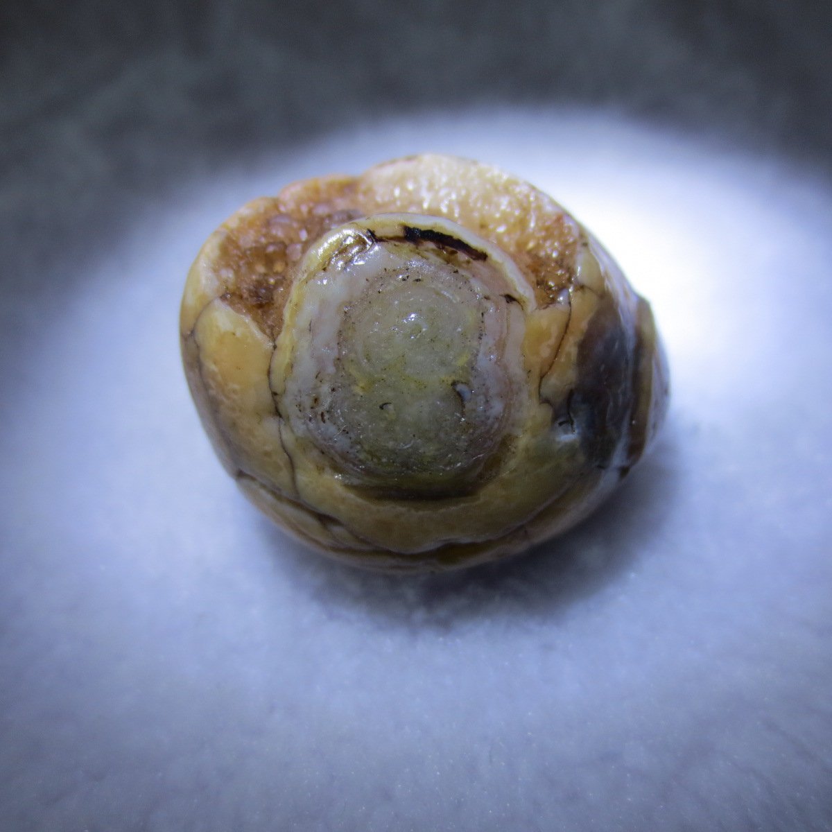 natural gobi eye stone，raw oracle eye agate，collectible crystal specimen (m91)