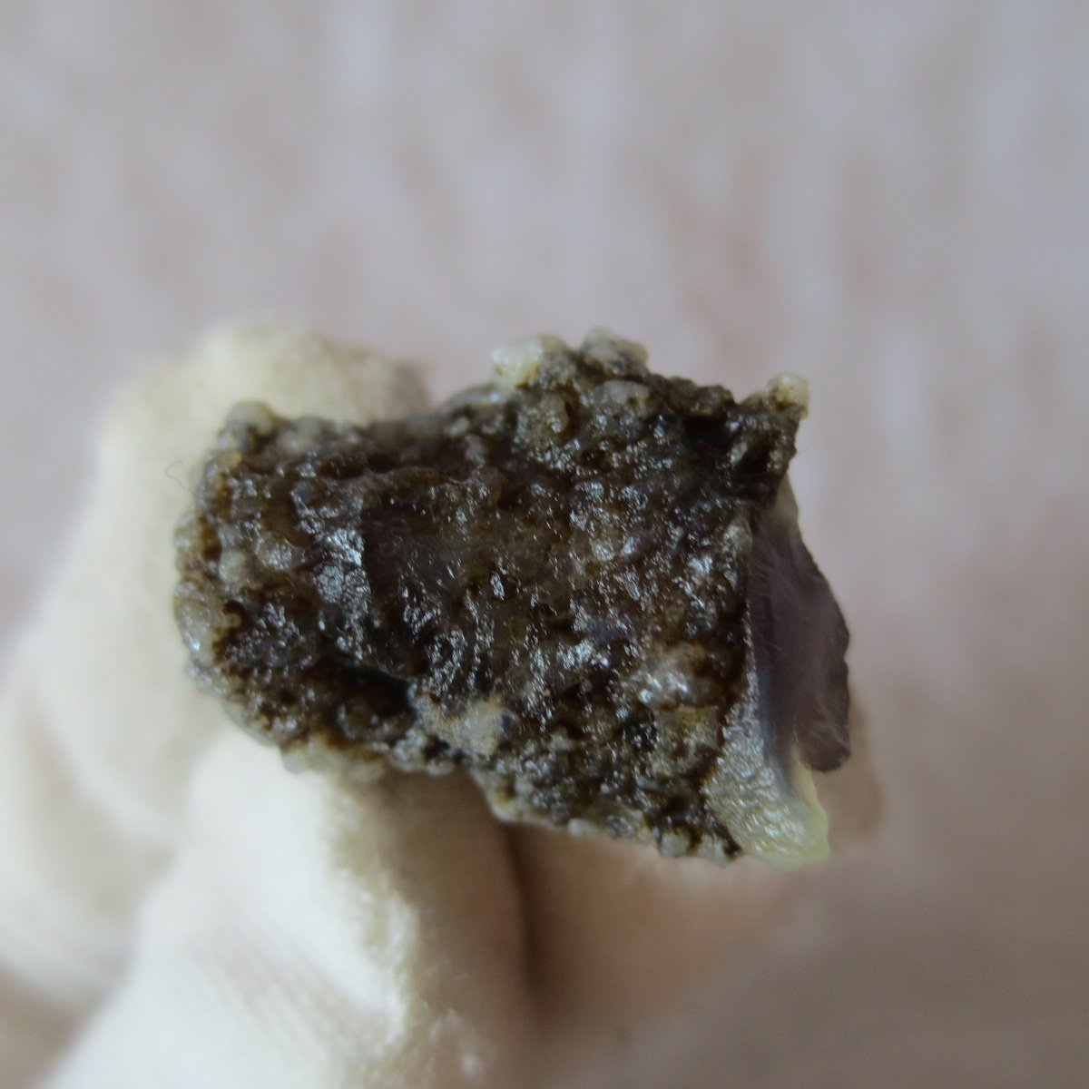 tiny gobi desert eye agate natural collectible rough stone specimen (m257)
