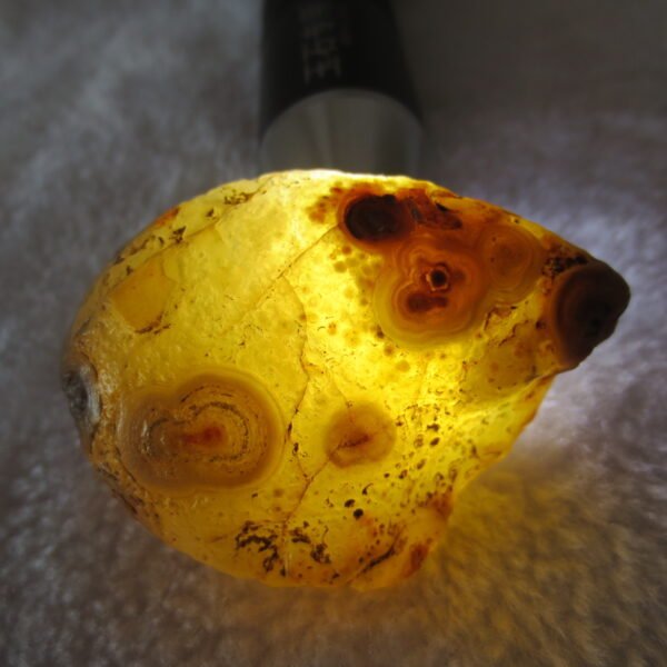 natural gobi eye stone，raw oracle eye agate，collectible crystal specimen (m92)