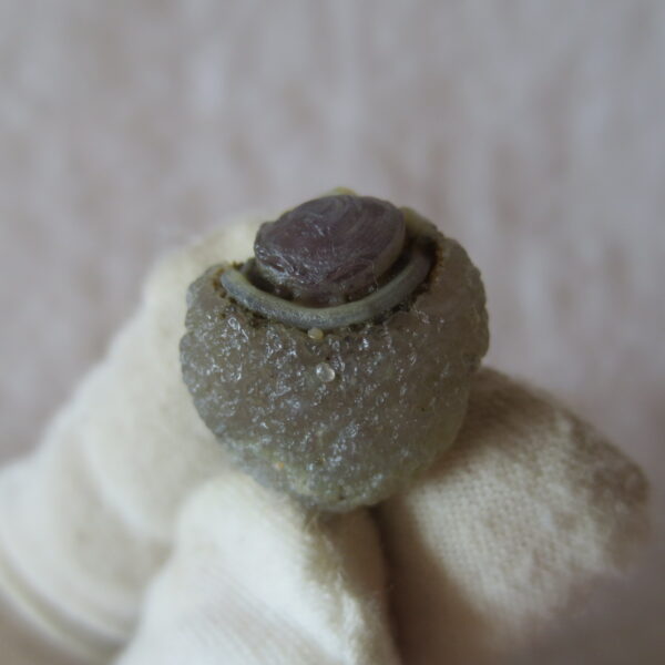 tiny gobi desert eye agate natural collectible rough stone specimen (m258) (copy)