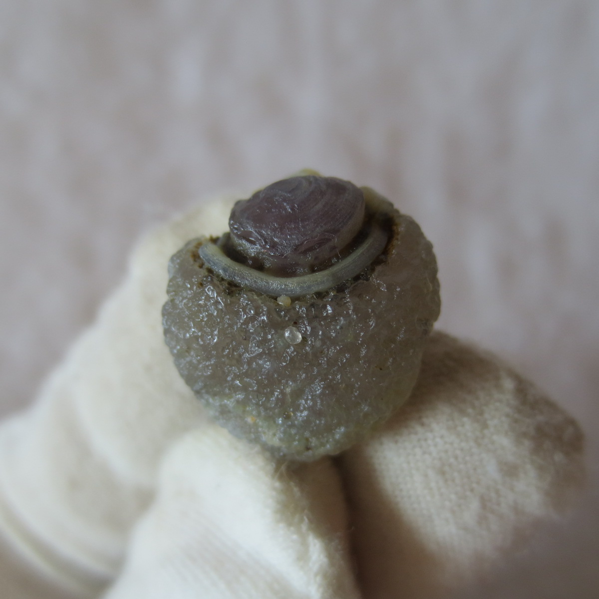 tiny gobi desert eye agate natural collectible rough stone specimen (m258) (copy)