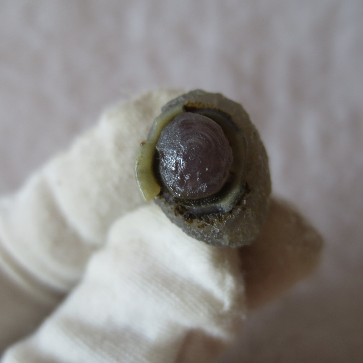 tiny gobi desert eye agate natural collectible rough stone specimen (m258) (copy)