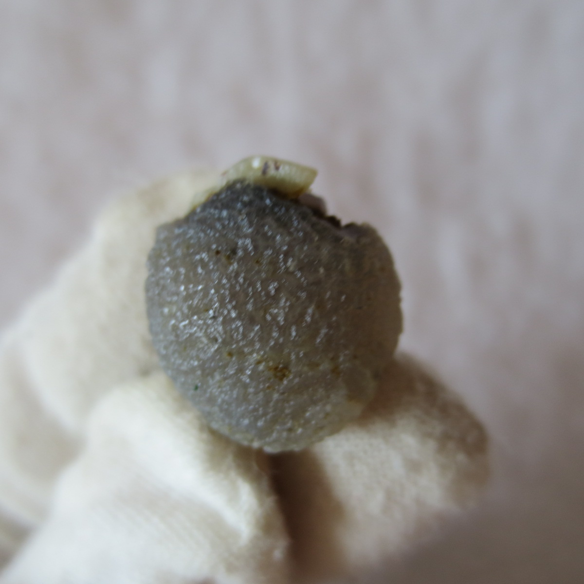 tiny gobi desert eye agate natural collectible rough stone specimen (m258) (copy)