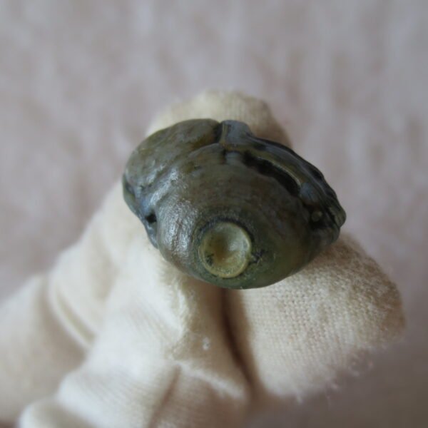 tiny gobi desert eye agate natural collectible rough stone specimen (m260)