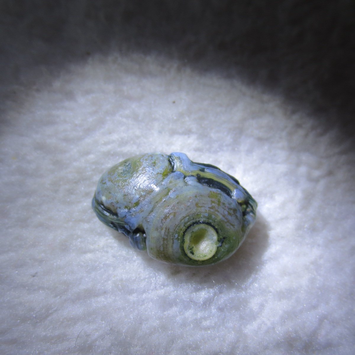 tiny gobi desert eye agate natural collectible rough stone specimen (m260)