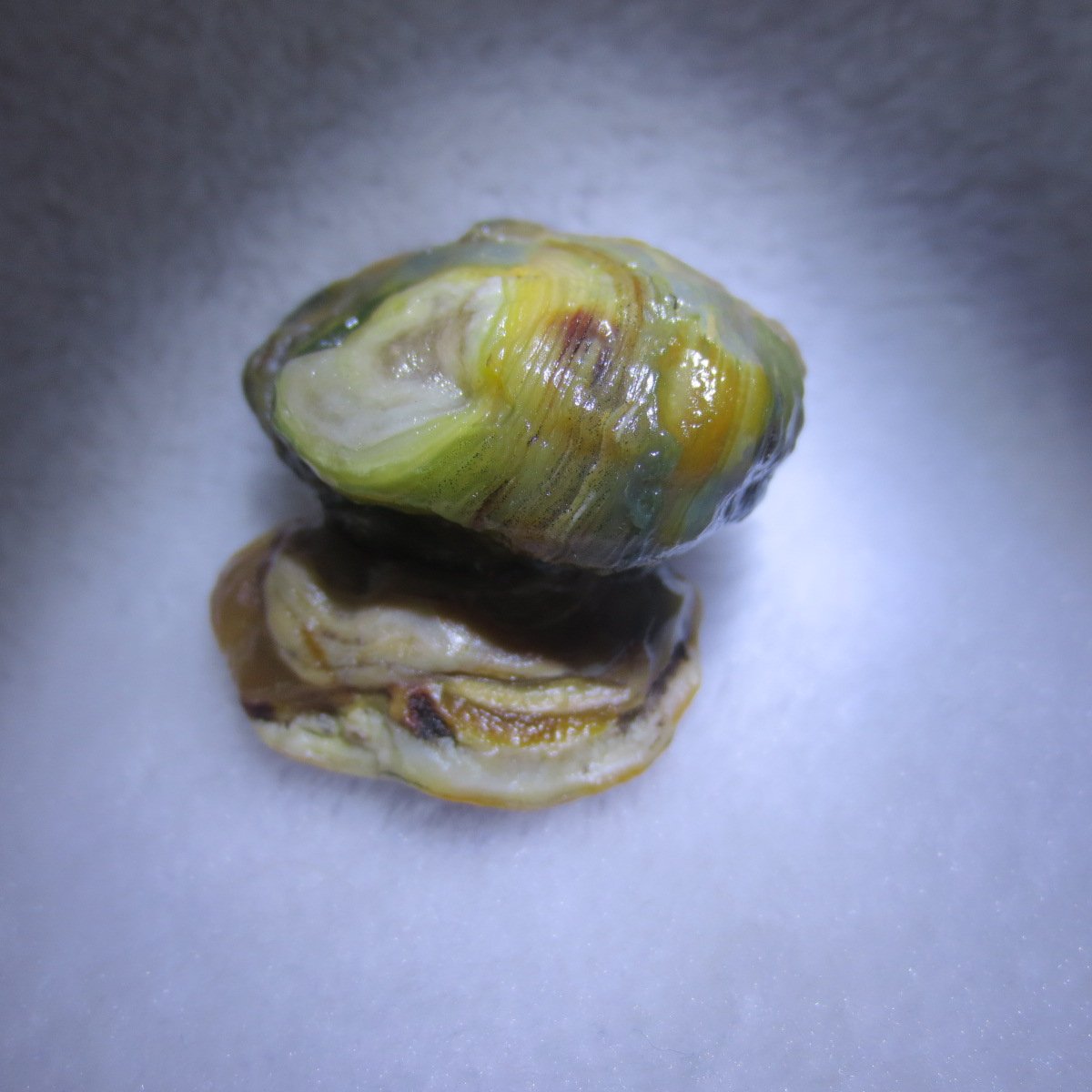 natural gobi eye stone，raw oracle eye agate，collectible crystal specimen (m101)
