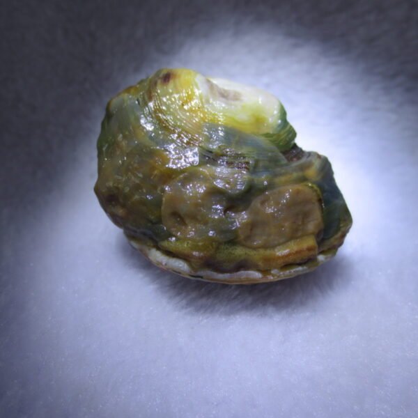 natural gobi eye stone，raw oracle eye agate，collectible crystal specimen (m101)