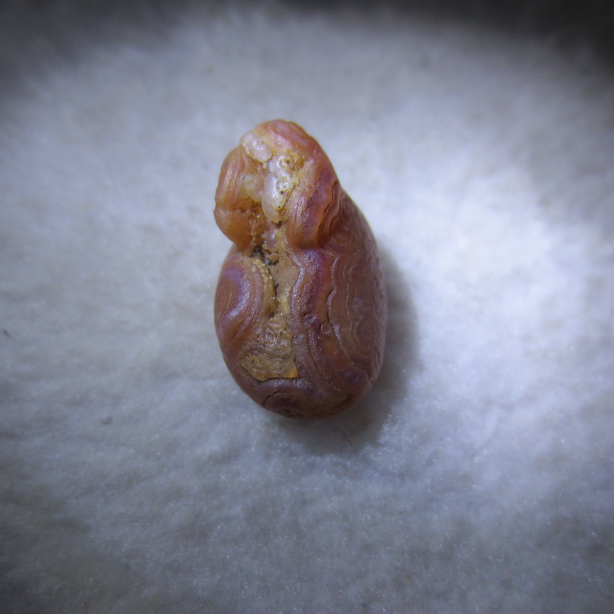 tiny gobi desert eye agate natural collectible rough stone specimen (m263)
