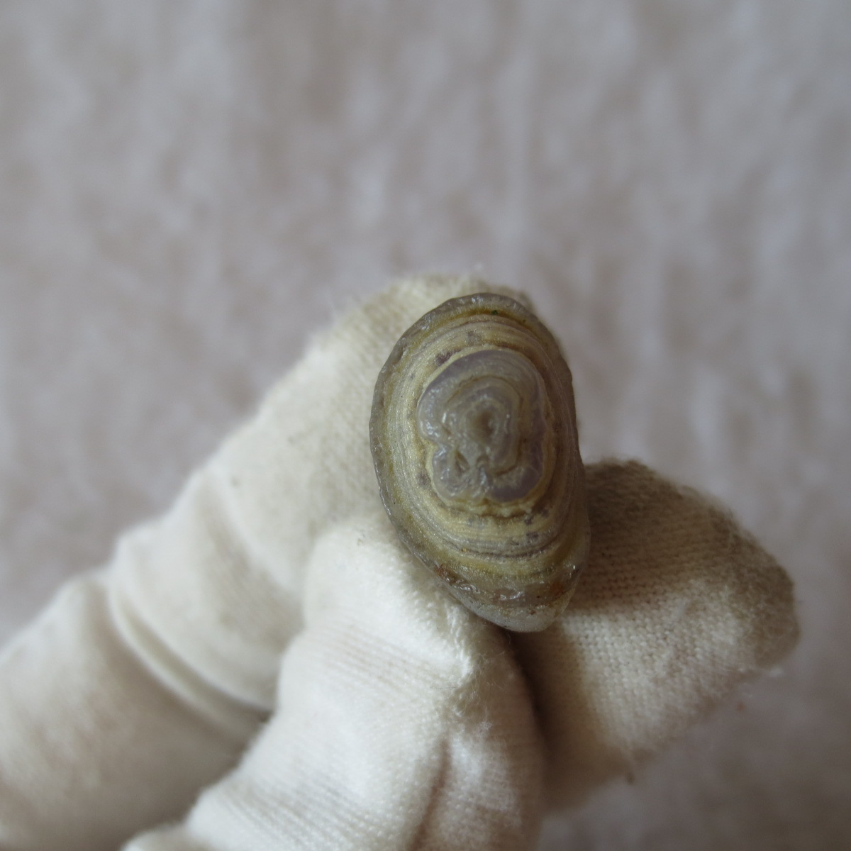 tiny gobi desert eye agate natural collectible rough stone specimen (m263) (copy)