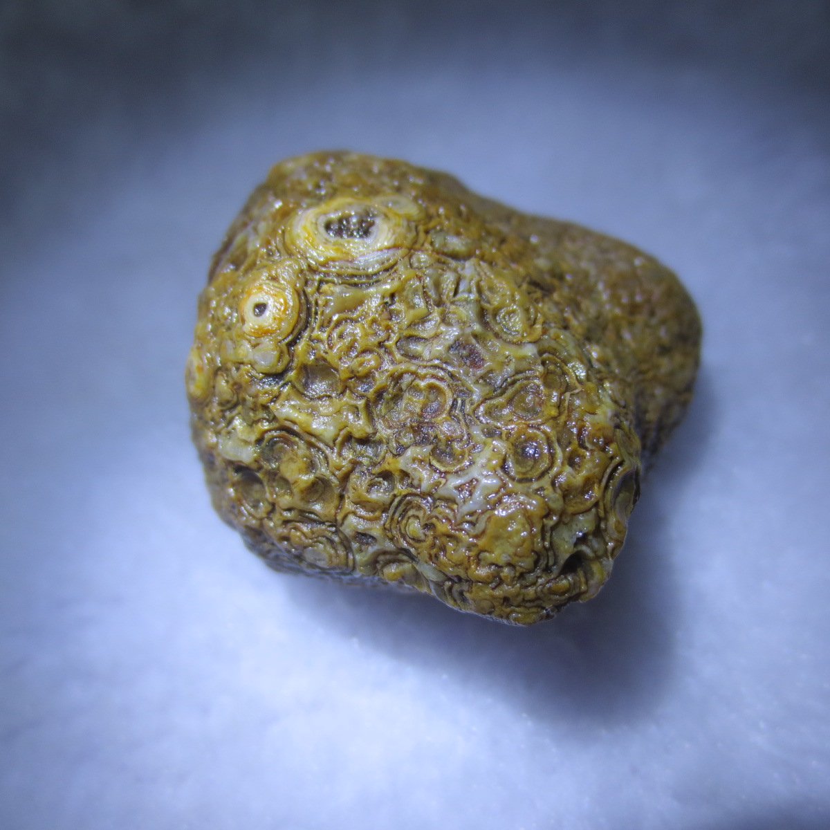 natural gobi eye stone，raw oracle eye agate，collectible crystal specimen (m102) (copy)