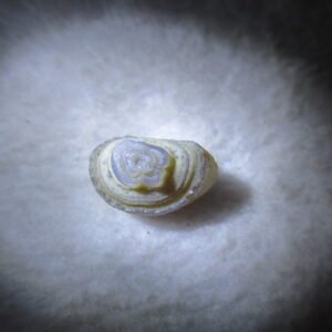 tiny gobi desert eye agate natural collectible rough stone specimen (m263) (copy)