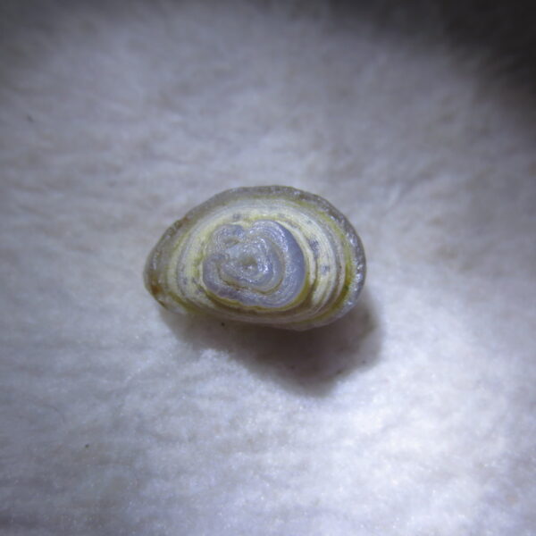 tiny gobi desert eye agate natural collectible rough stone specimen (m263) (copy)