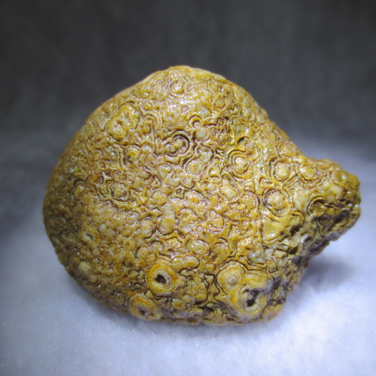 natural gobi eye stone，raw oracle eye agate，collectible crystal specimen (m102) (copy)
