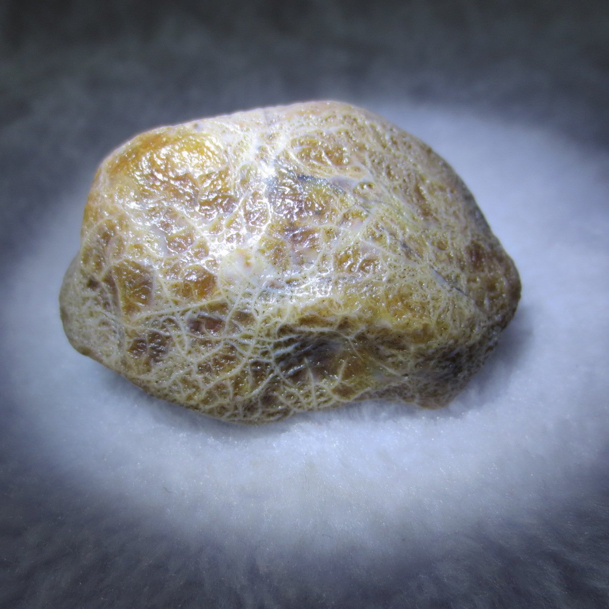 natural gobi eye stone，raw oracle eye agate，collectible crystal specimen (m106)
