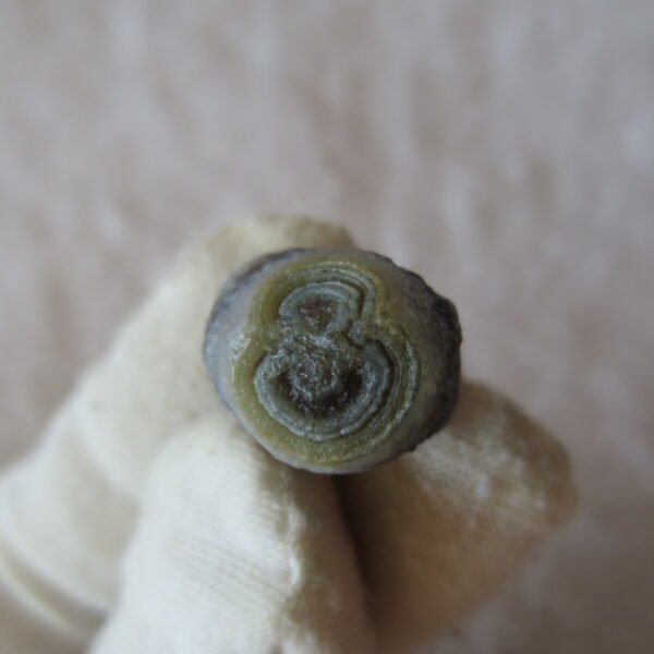 tiny gobi desert eye agate natural collectible rough stone specimen (m265) (copy)